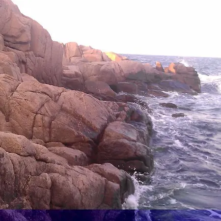 Hotel Chernomorets 호텔 2*